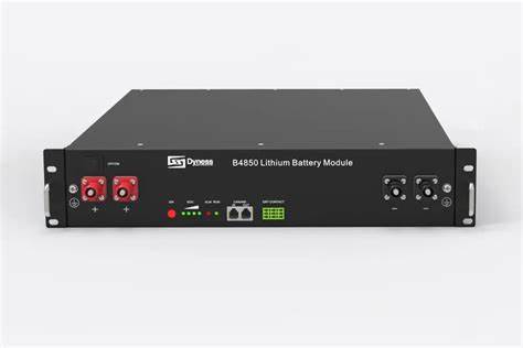 MODUŁ BATERII DYNESS B4850